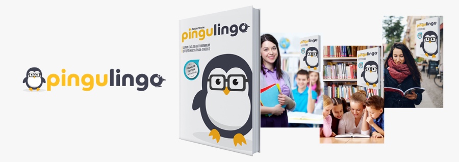 pingulingo Книга и лого