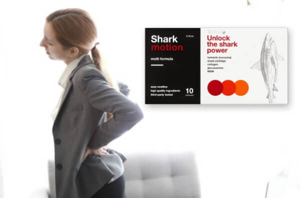 Shark Motion Preis Online in Deutschland