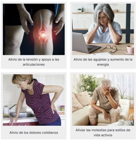 ¡Ingredientes para articulaciones activas y flexibles en la composición!