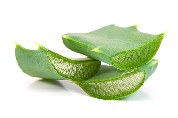 Aloe Vera for the Skin