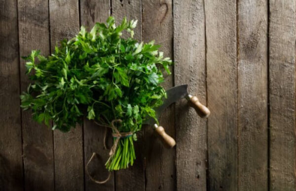 Herbs Against Elevated Urea Levels