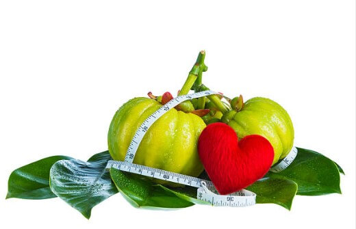 Garcinia Cambogia 