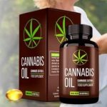 Cannabis oil Review, opinions, price, usage, effects