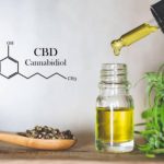 cannabis, hemp oil, cbd