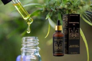 cannabisvital oil, ingredients