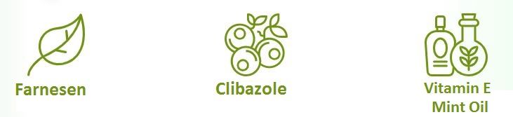 olio di menta di farnesen clibazole