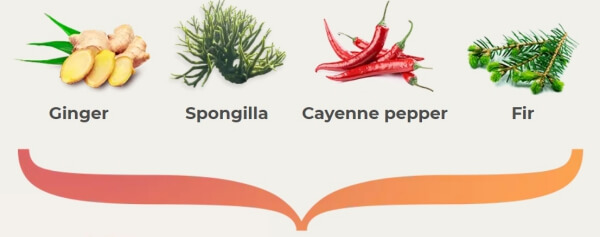 Ingredients and composition of the joint cream