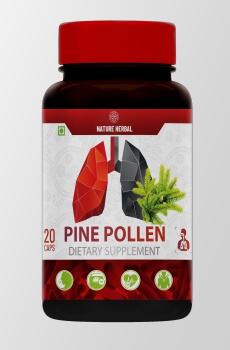 Pine Pollen 20 capsules Malaysia Philippines India Review