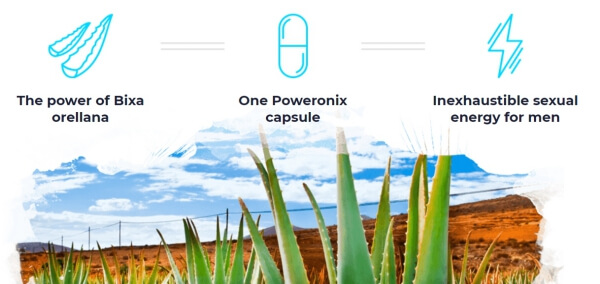 Power Onix ingredients