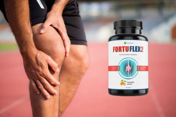 FortuFlex2 price and Official website