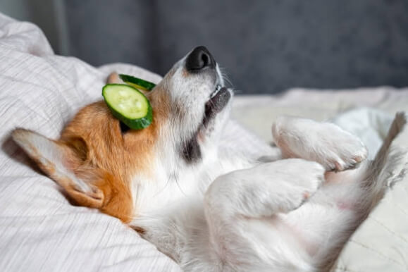 skin and put on a sleeping mask