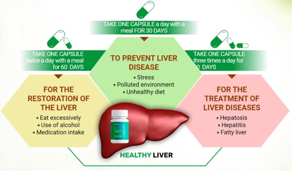 Výhody a výhody Leveren Liver