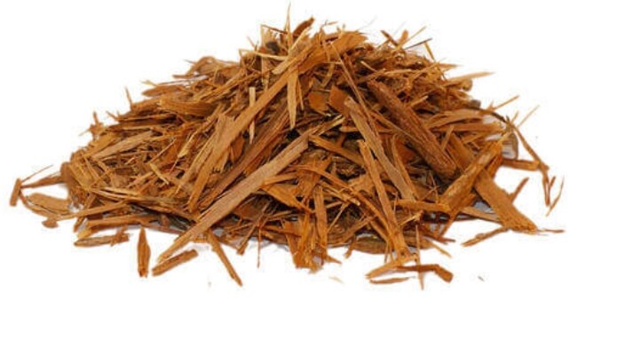 Catuaba herb 