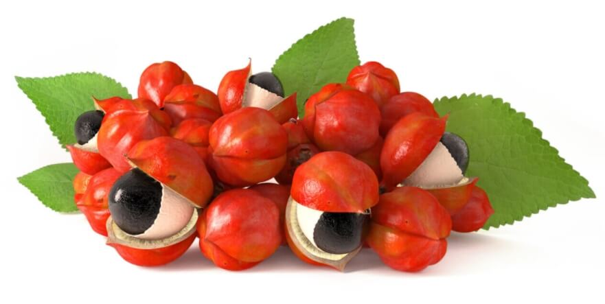 Guarana Fruit and Root - An Herb for More Fertility and Potency!