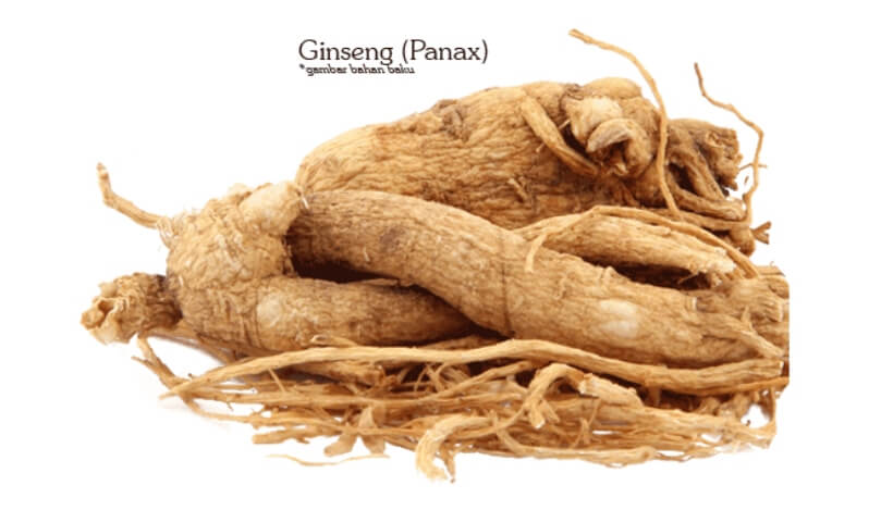 Korean Red Ginseng Root - Heats Max's Love Passions!