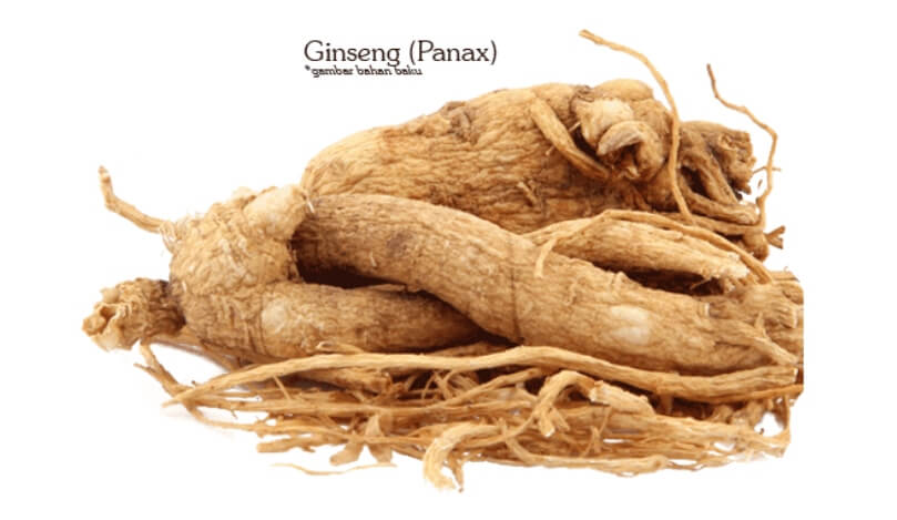 Radice di ginseng rosso coreano