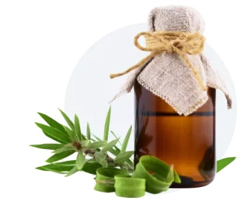  Składniki – alantoina, olejek z drzewa herbacianego i kwas salicylowy