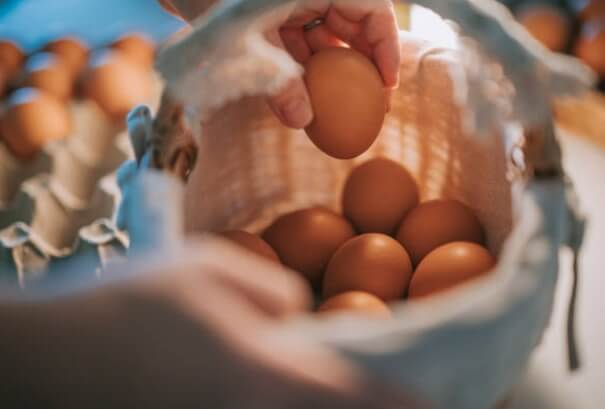 Яйца, протеини