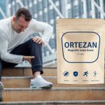 Ortezan knee brace Opinions Price