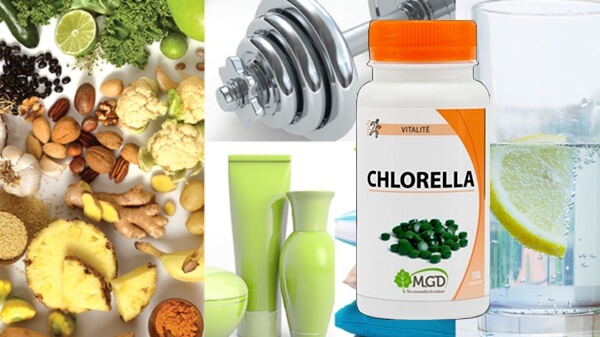 Chlorella – What is It 