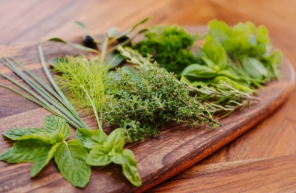 herbs, kidney