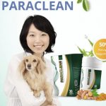 Paraclean capsules Reviews Indonesia - price, opinions, effects