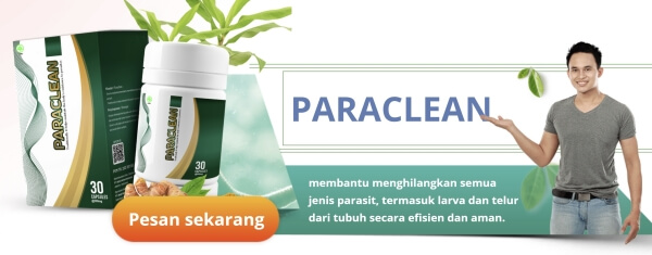 Paraclean Price in Indonesia 