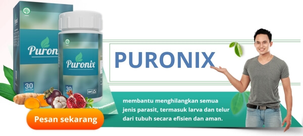 Puronix Price in Indonesia
