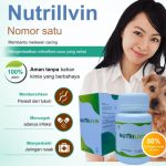 Nutrilivin capsules Reviews Indonesia - Opinions, price, effects