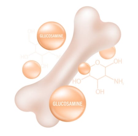 Glucosamine 